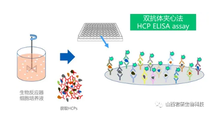 1742890008118070.png image.png