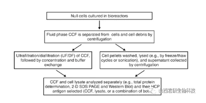 1742890029189767.png image.png