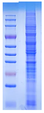 1742890594992783.png image.png