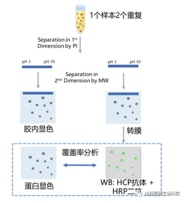 1742890929191681.png image.png