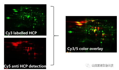 1742890977108381.png image.png