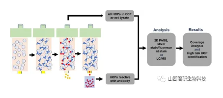 1742890986149482.png image.png