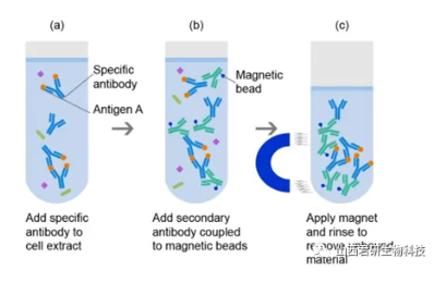 1742890997187448.png image.png